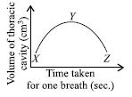 ""CBSE-Class-7-Science-NSO-Olympiad-MCQs-with-Answers-Set-F-25