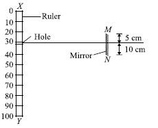 ""CBSE-Class-7-Science-NSO-Olympiad-MCQs-with-Answers-Set-F-6