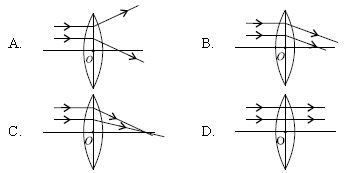 ""CBSE-Class-7-Science-NSO-Olympiad-MCQs-with-Answers-Set-F-7