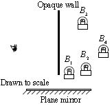 ""CBSE-Class-7-Science-NSO-Olympiad-MCQs-with-Answers-Set-G-10