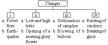 ""CBSE-Class-7-Science-NSO-Olympiad-MCQs-with-Answers-Set-G-11