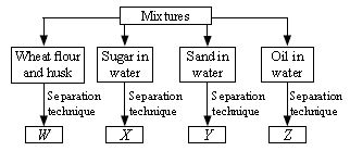 ""CBSE-Class-7-Science-NSO-Olympiad-MCQs-with-Answers-Set-G-12