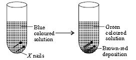 ""CBSE-Class-7-Science-NSO-Olympiad-MCQs-with-Answers-Set-G-14