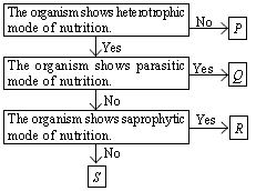 ""CBSE-Class-7-Science-NSO-Olympiad-MCQs-with-Answers-Set-G-15