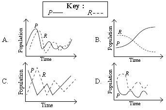 ""CBSE-Class-7-Science-NSO-Olympiad-MCQs-with-Answers-Set-G-18