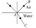 ""CBSE-Class-7-Science-NSO-Olympiad-MCQs-with-Answers-Set-H-10