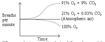 ""CBSE-Class-7-Science-NSO-Olympiad-MCQs-with-Answers-Set-H-15