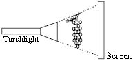 ""CBSE-Class-7-Science-NSO-Olympiad-MCQs-with-Answers-Set-H-6