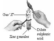 ""CBSE-Class-7-Science-NSO-Olympiad-MCQs-with-Answers-Set-I-19