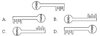 ""CBSE-Class-7-Science-NSO-Olympiad-MCQs-with-Answers-Set-I-3