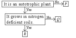 ""CBSE-Class-7-Science-NSO-Olympiad-MCQs-with-Answers-Set-J-2