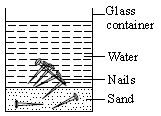 ""CBSE-Class-7-Science-NSO-Olympiad-MCQs-with-Answers-Set-J-23