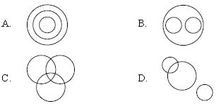 ""CBSE-Class-8-Mathematics-IMO-Olympiad-MCQs-with-Answers-Set-B-2