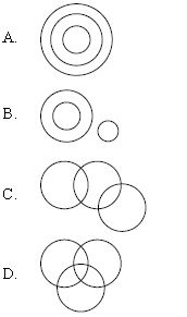 ""CBSE-Class-8-Mathematics-IMO-Olympiad-MCQs-with-Answers-Set-F-6