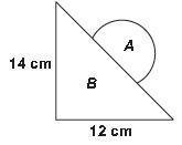 ""CBSE-Class-8-Mathematics-IMO-Olympiad-MCQs-with-Answers-Set-M-1