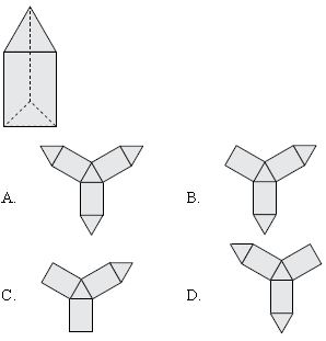 ""CBSE-Class-8-Mathematics-IMO-Olympiad-MCQs-with-Answers-Set-N-13