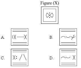 ""CBSE-Class-8-Mathematics-IMO-Olympiad-MCQs-with-Answers-Set-N-3