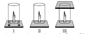 ""CBSE-Class-8-Science-NSO-Olympiad-MCQs-with-Answers-Set-B-17