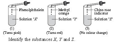 ""CBSE-Class-8-Science-NSO-Olympiad-MCQs-with-Answers-Set-C-13