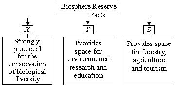 ""CBSE-Class-8-Science-NSO-Olympiad-MCQs-with-Answers-Set-C-15