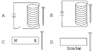 ""CBSE-Class-8-Science-NSO-Olympiad-MCQs-with-Answers-Set-D-16