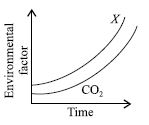 ""CBSE-Class-8-Science-NSO-Olympiad-MCQs-with-Answers-Set-M-14