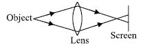 ""CBSE-Class-8-Science-NSO-Olympiad-MCQs-with-Answers-Set-M-2