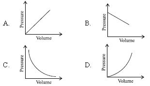 ""CBSE-Class-8-Science-NSO-Olympiad-MCQs-with-Answers-Set-M-7