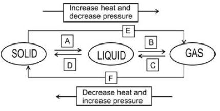 ""CBSE-Class-9-Science-Matter-In-Our-Surroundings-Worksheet-Set-B