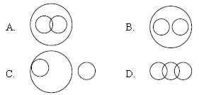 ""CBSE-Class-10-Mathematics-IMO-Olympiad-MCQs-with-Answers-Set-H-3