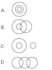 ""CBSE-Class-10-Mathematics-IMO-Olympiad-MCQs-with-Answers-Set-J-6