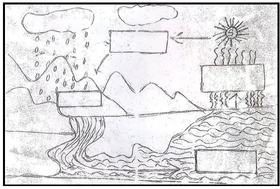 ""CBSE-Class-4-EVS-Our-Sense-Organs-Worksheet