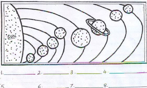 ""CBSE-Class-4-EVS-Parts-Of-A-Plant-Worksheet