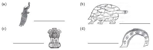 ""CBSE-Class-4-EVS-Revision-Worksheet-Set-N