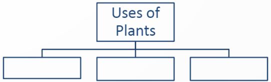 ""CBSE-Class-4-Science-Adaptations-How-Plants-Survive-Worksheet