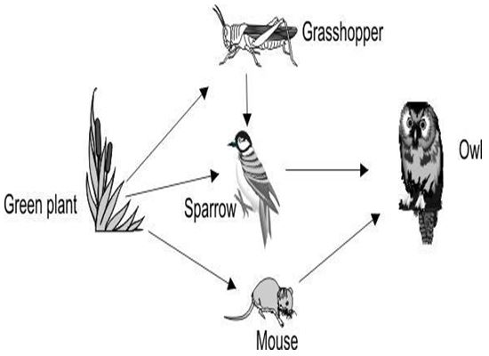 ""CBSE-Class-6-Science-Nutrition-In-Plants-Worksheet-3