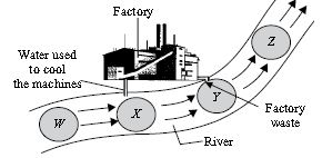 ""CBSE-Class-8-Science-NSO-Olympiad-MCQs-with-Answers-Set-F-15