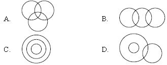 ""CBSE-Class-8-Science-NSO-Olympiad-MCQs-with-Answers-Set-F-2