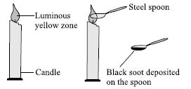 ""CBSE-Class-8-Science-NSO-Olympiad-MCQs-with-Answers-Set-F-9