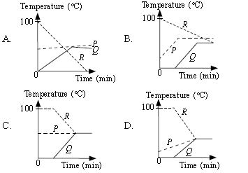 ""CBSE-Class-8-Science-NSO-Olympiad-MCQs-with-Answers-Set-G-10