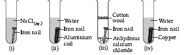 ""CBSE-Class-8-Science-NSO-Olympiad-MCQs-with-Answers-Set-I-12