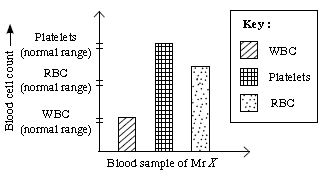 ""CBSE-Class-8-Science-NSO-Olympiad-MCQs-with-Answers-Set-I-13