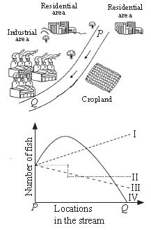 ""CBSE-Class-8-Science-NSO-Olympiad-MCQs-with-Answers-Set-N-17