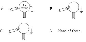 ""CBSE-Class-8-Science-NSO-Olympiad-MCQs-with-Answers-Set-O-14