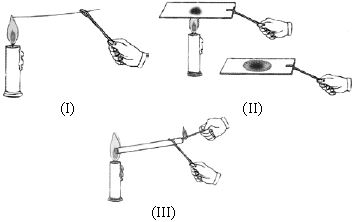 ""CBSE-Class-8-Science-NSO-Olympiad-MCQs-with-Answers-Set-O-7