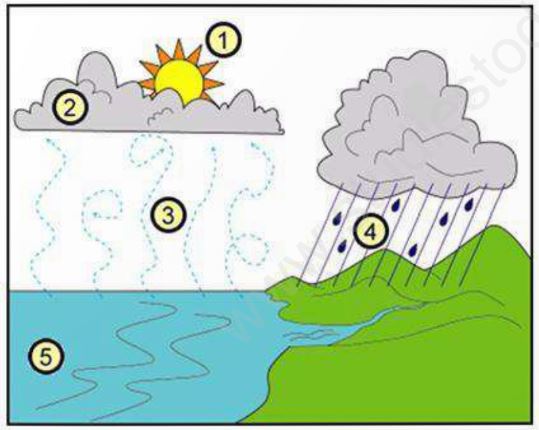 ""CBSE-Class-9-Science-Natural-Resources-assignment