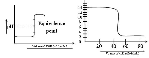 ""NCERT-Class-11-Chemistry-Lab-Manual-Chemical-Equilibrium-Ionic-Equilibrium-1