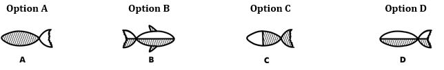 ""NCERT-Solutions-Class-4-Mathematics-Chapter-9-Halves-And-Quarters-8