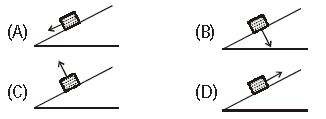 ""Olympiad-Class-8-Science-Mock-Test-Set-A