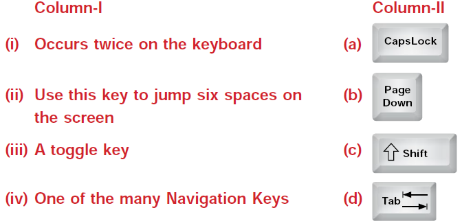 IMO-Maths-Olympiad-Online-Mock-Test-Class-3-Set-E-2